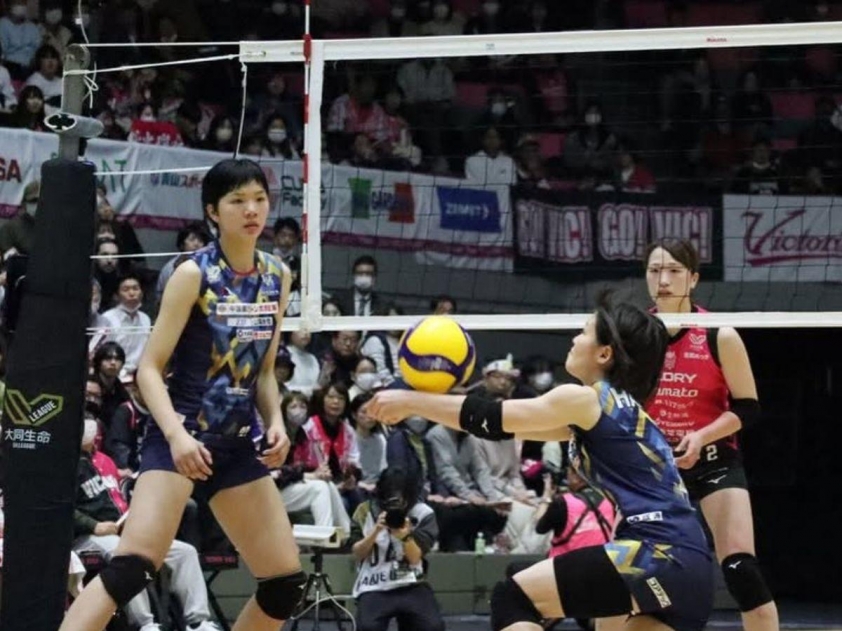 Trực tiếp bóng chuyền Okayama Seagulls vs Victorina Himeji, 12h05 hôm nay 8/3-803818